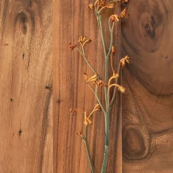 Salontafel Suar Hout Rond -VTwonen Verkoopwinkel dtp home flare ronde salontafel suar hout 01