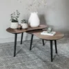Organische Salontafel Set Teak