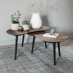 Organische Salontafel Set Teak