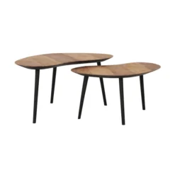 Organische Salontafel Set Teak -VTwonen Verkoopwinkel dtp home organus salontafelset teakhout 02
