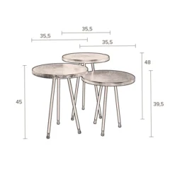 Metalen Bijzettafelset -VTwonen Verkoopwinkel dutchbone alim metalen bijzettafelset 05