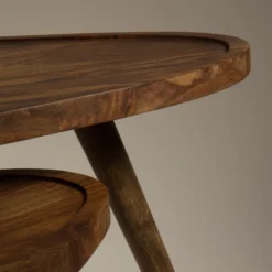 Organische Salontafel Sheesham Hout -VTwonen Verkoopwinkel dutchbone sham houten koffietafelset sheesham 06