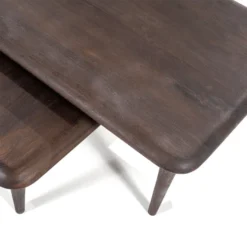 Salontafelset Mangohout -VTwonen Verkoopwinkel eleonora jiska salontafelset mangohout bruin 05 1