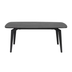 Zwarte Design Eettafel Hout