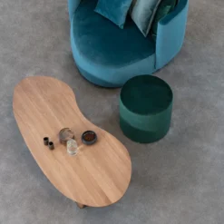 Organische Salontafel -VTwonen Verkoopwinkel passe partout boca organische salontafel 01