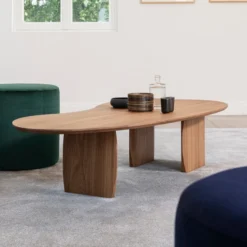 Organische Salontafel