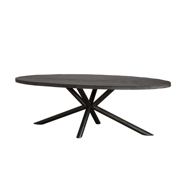 Mangohout Eettafel Ovaal 1 Mangohout Eettafel Ovaal