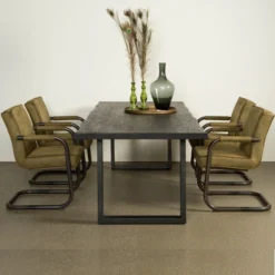 Zwarte Boomstamtafel U-poot